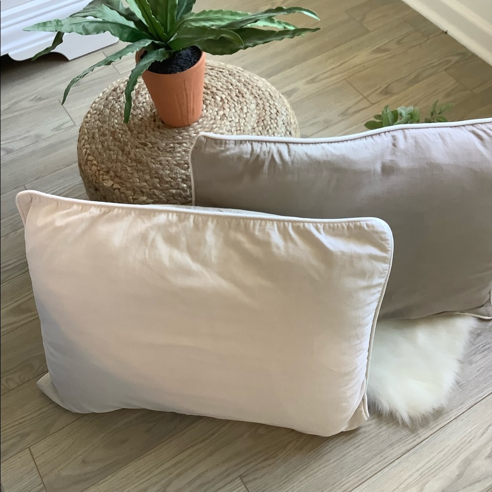 Bundle of 2 Pottery Barn shams❤️❤️❤️❤️